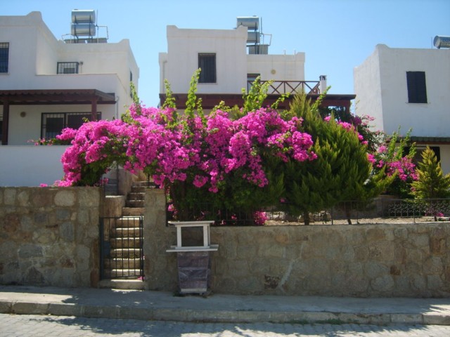 img-7